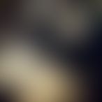 Nathalie_Trav4950, Travesti, 26 ans, Etalle (2)
